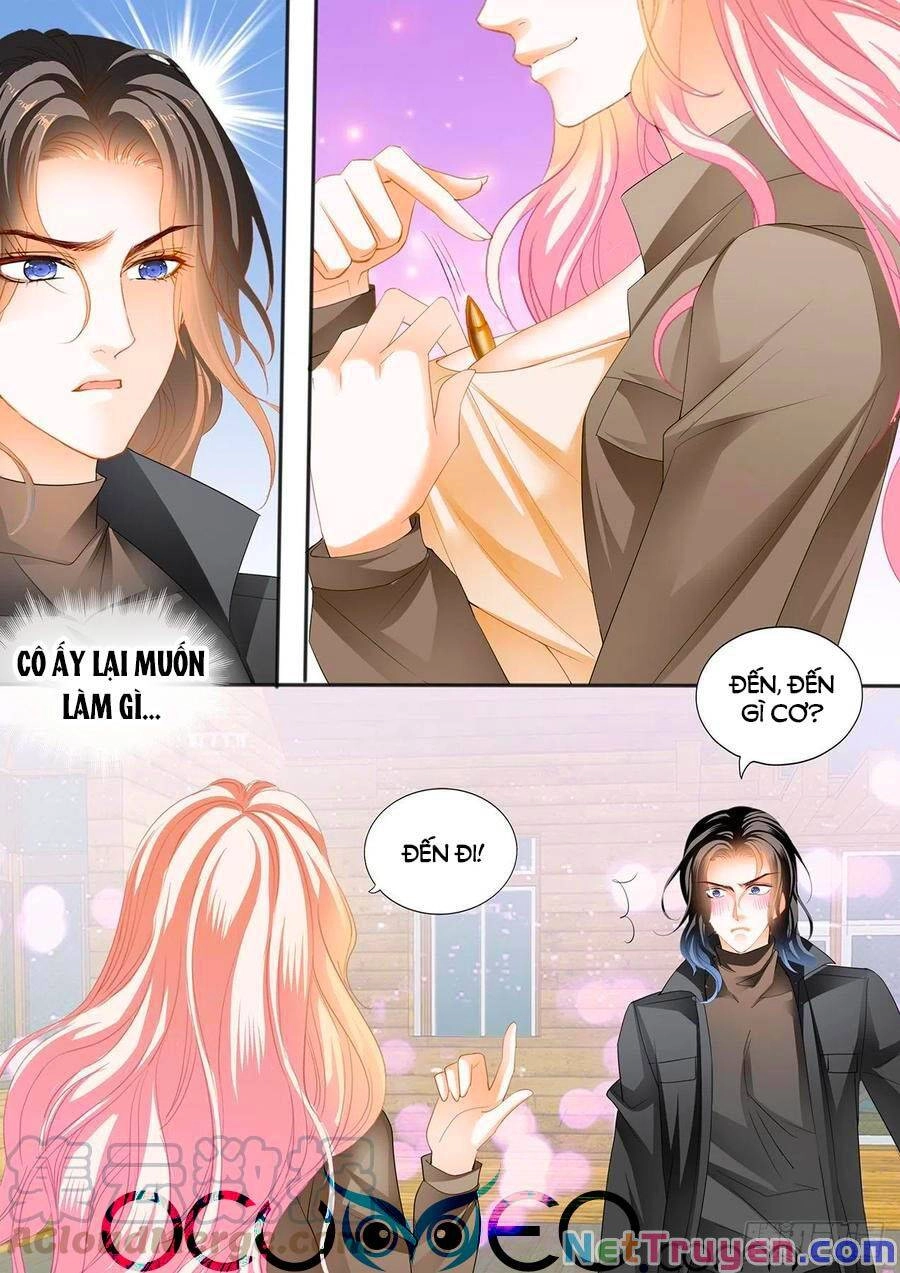 Bá Đạo Tiểu Thúc, Xin Trêu Chọc Vừa Thôi! Chapter 250 - 10