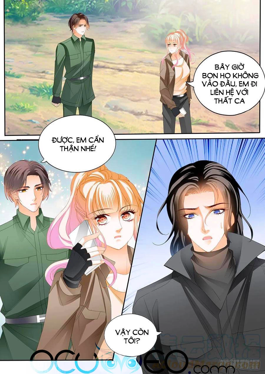 Bá Đạo Tiểu Thúc, Xin Trêu Chọc Vừa Thôi! Chapter 260 - 6