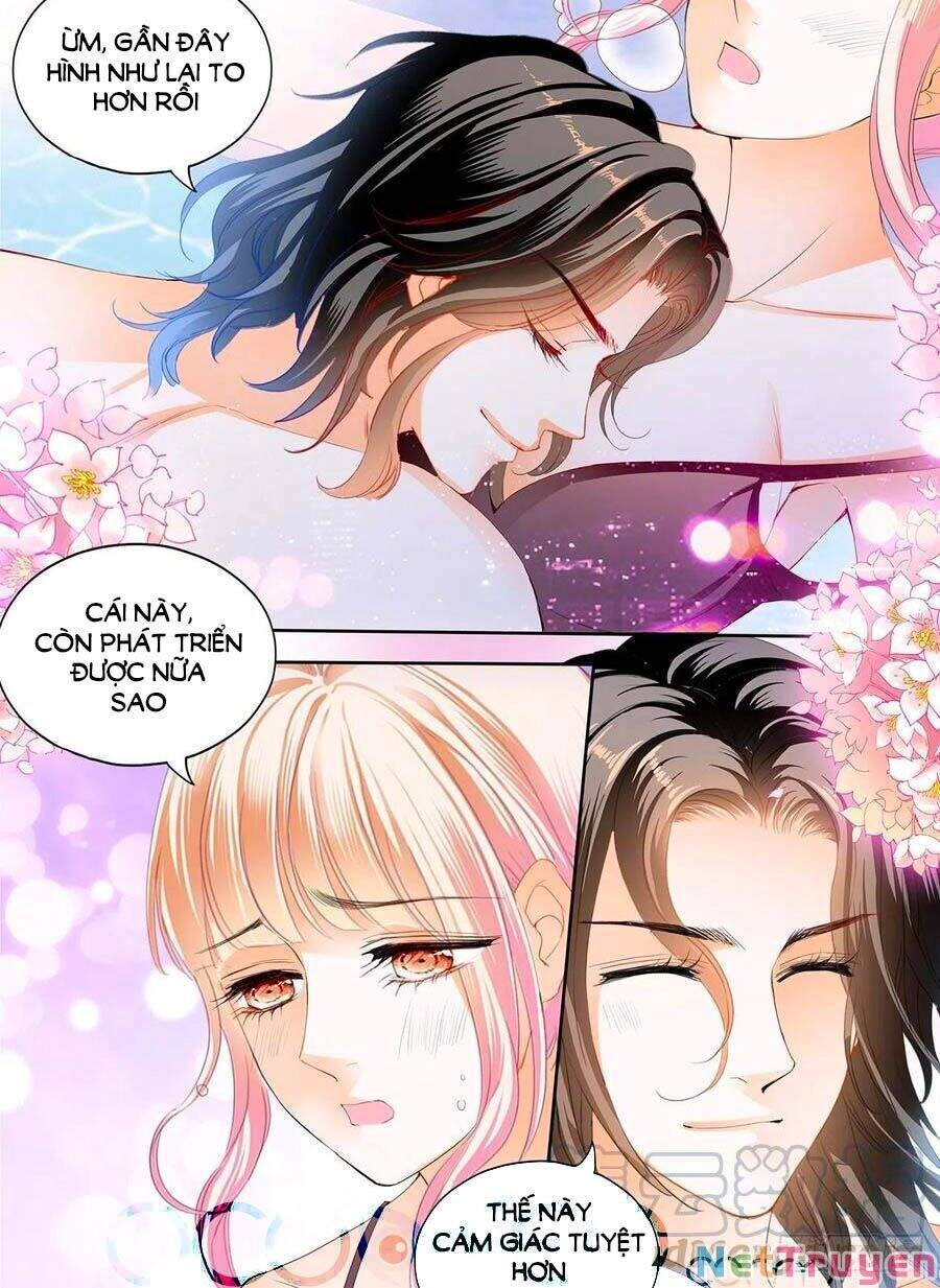 Bá Đạo Tiểu Thúc, Xin Trêu Chọc Vừa Thôi! Chapter 271 - 8