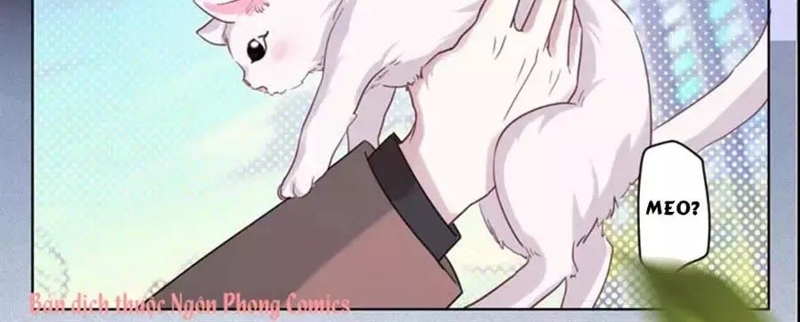 Thần Luân Mật Luyến Chapter 34 - 19