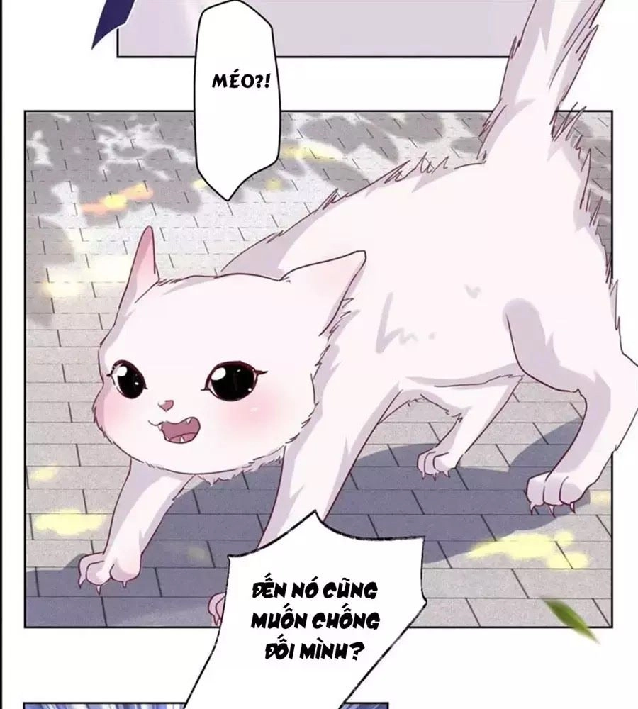 Thần Luân Mật Luyến Chapter 34 - 27