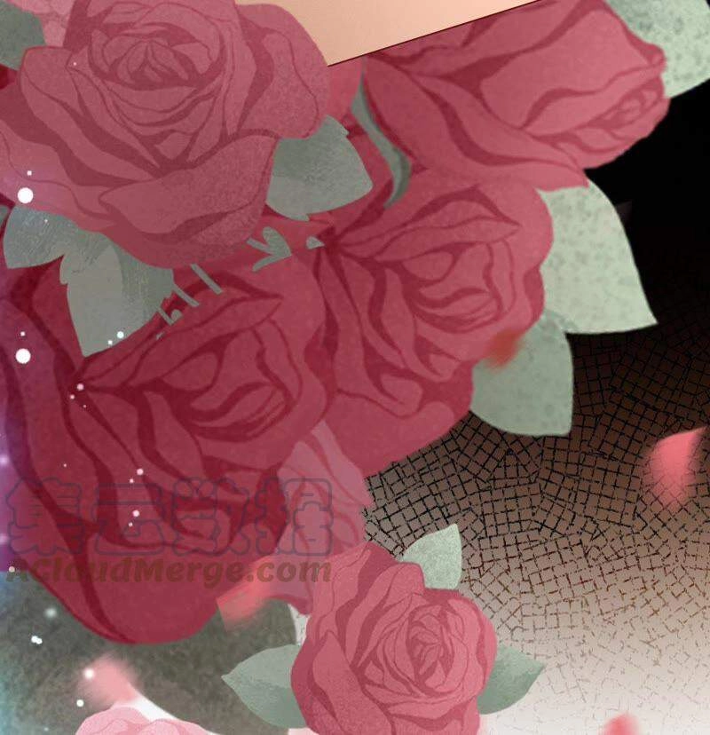 Thần Luân Mật Luyến Chapter 116 - 36