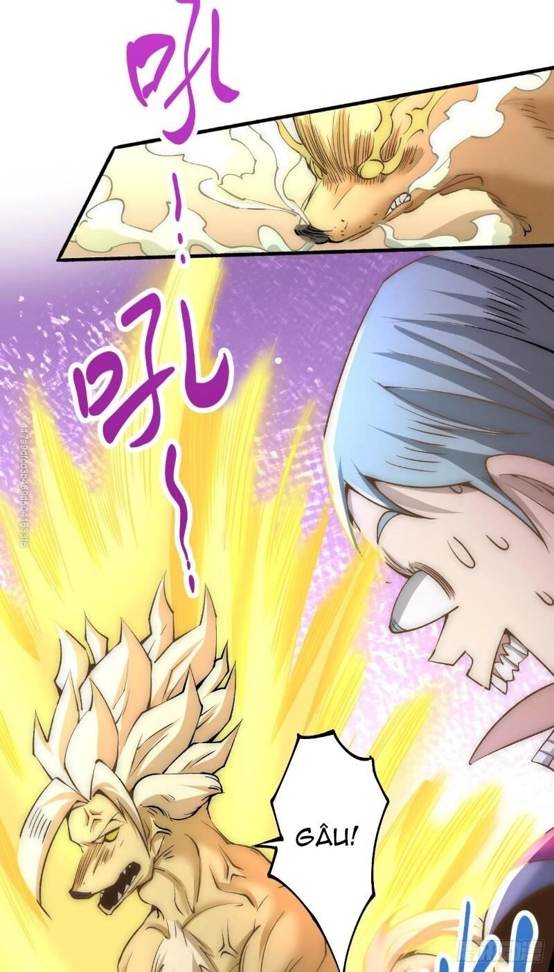 Đô Thị Đỉnh Phong Cao Thủ Chapter 140 - 37