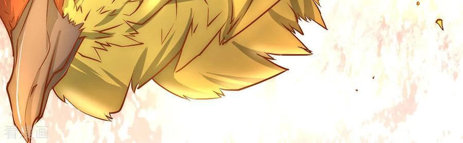 Đô Thị Đỉnh Phong Cao Thủ Chapter 164 - 47