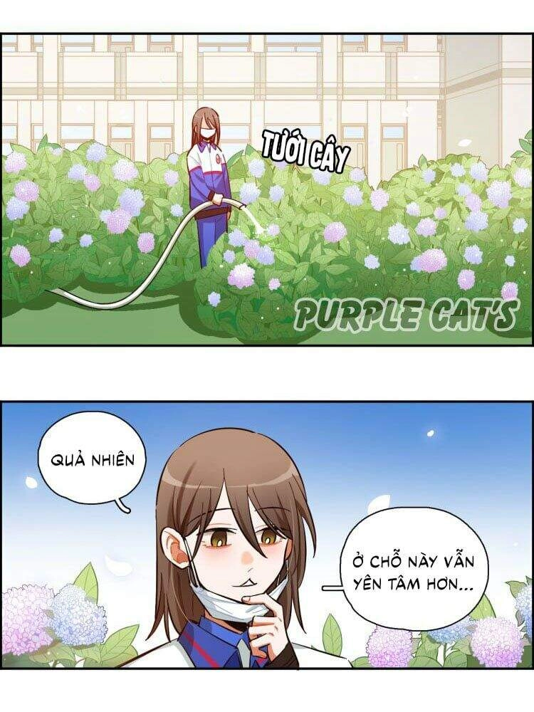 Gần Như Là Bạn Chapter 8 - 11