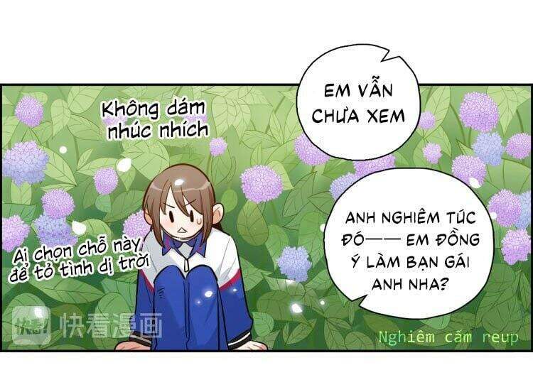 Gần Như Là Bạn Chapter 8 - 13