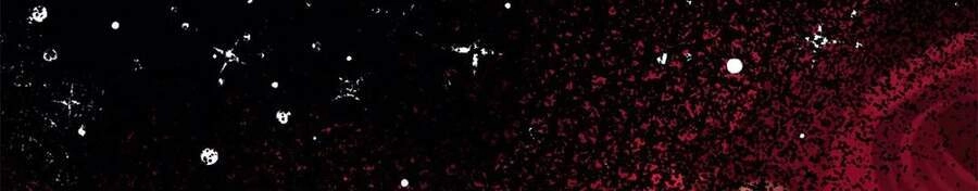 Công Chúa Thời Gian Có Hạn Chapter 41 - 53