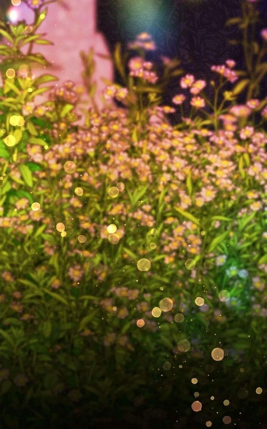 Công Chúa Thời Gian Có Hạn Chapter 49 - 70