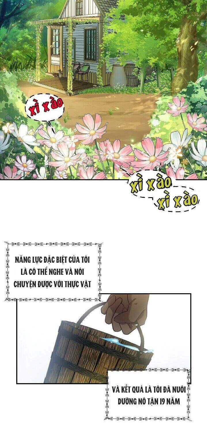 Xin Chào, Tôi Là Người Làm Vườn! Chapter 1 - 35