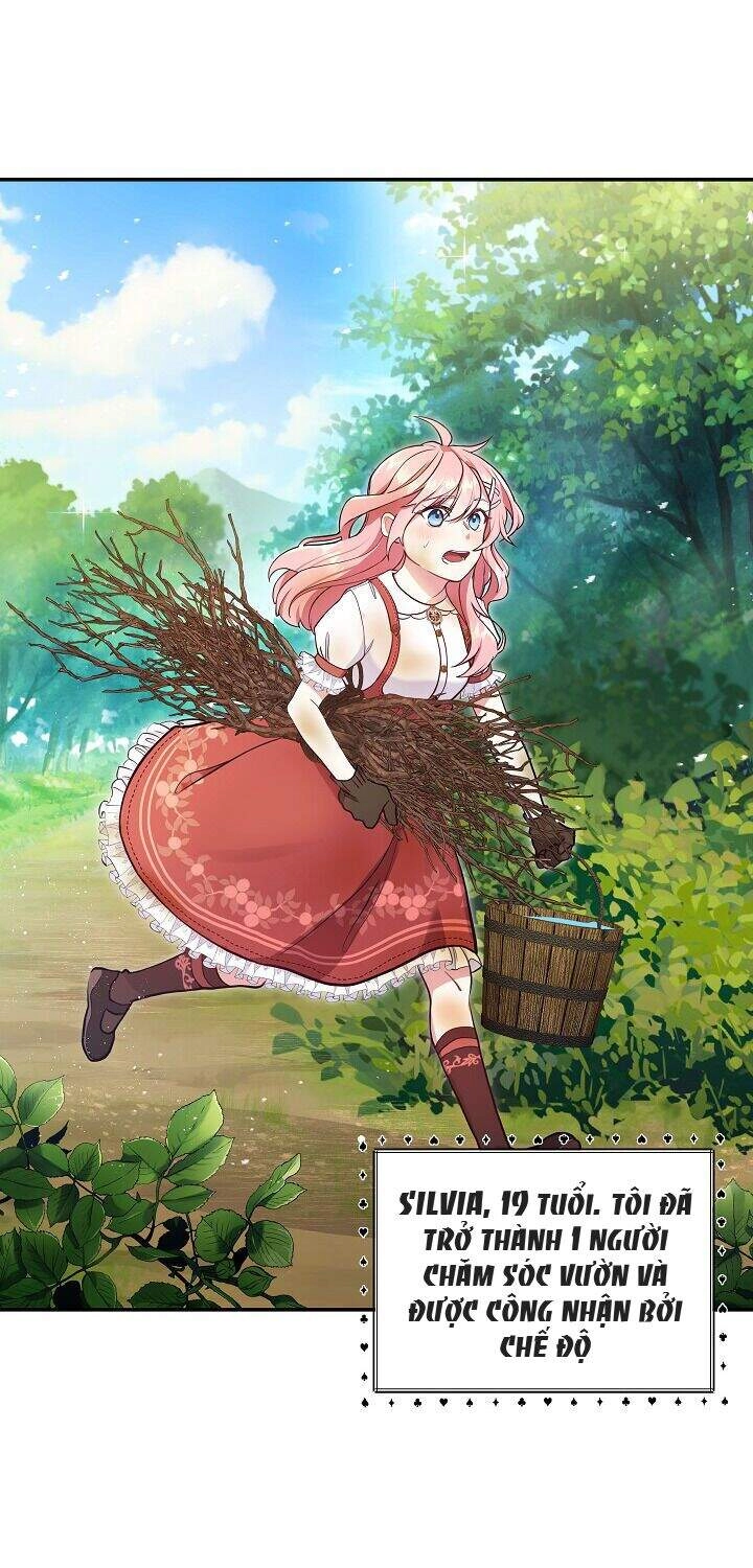 Xin Chào, Tôi Là Người Làm Vườn! Chapter 1 - 36