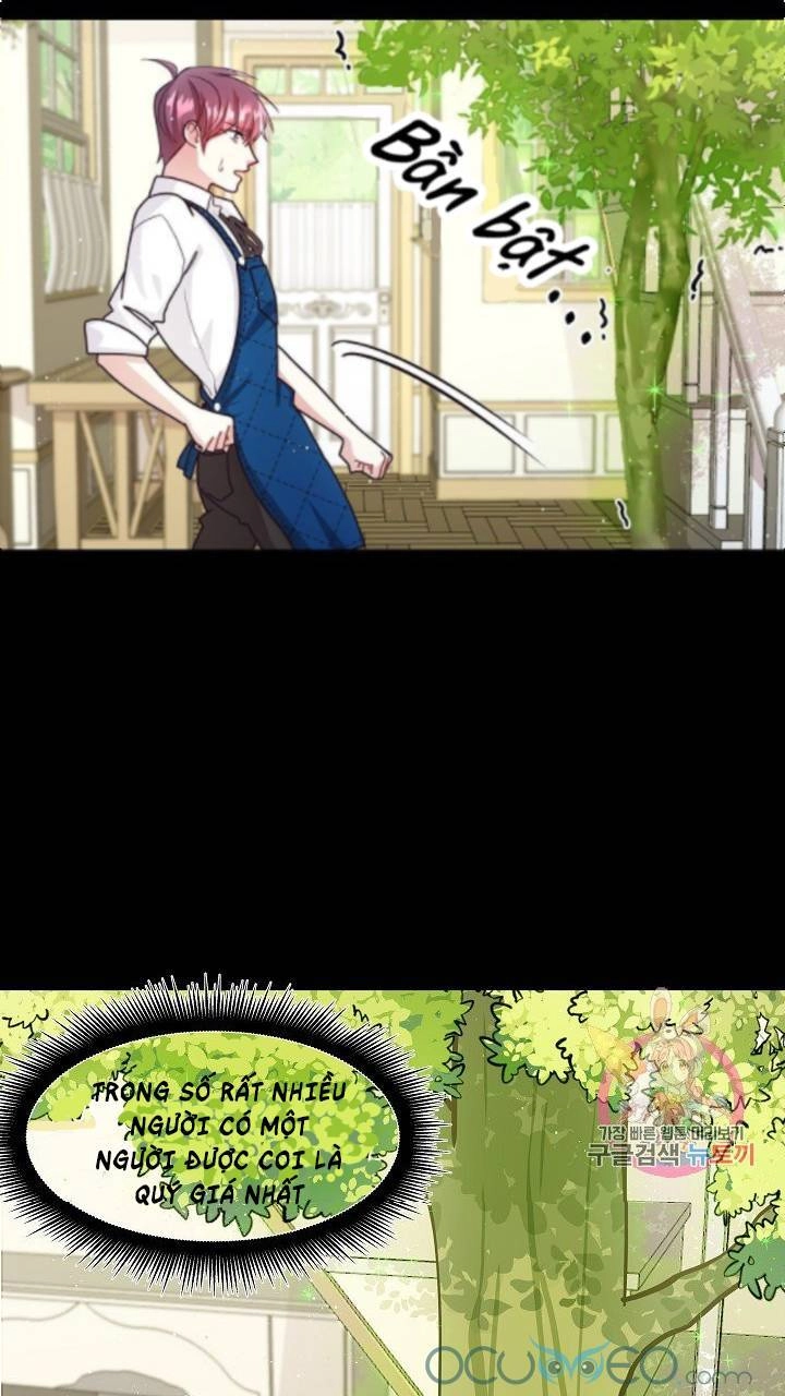 Xin Chào, Tôi Là Người Làm Vườn! Chapter 8 - 16