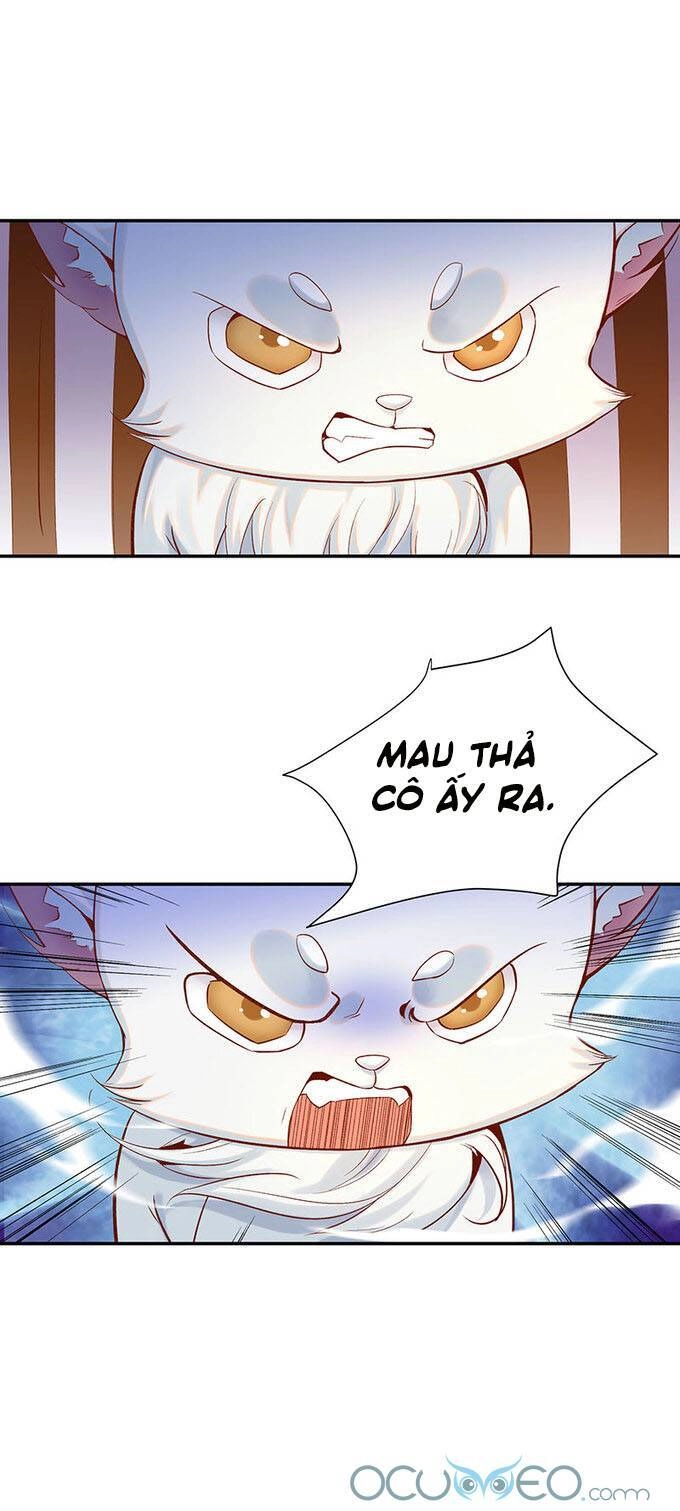 Minh Đế Độc Sủng Âm Dương Phi Chapter 19 - 17