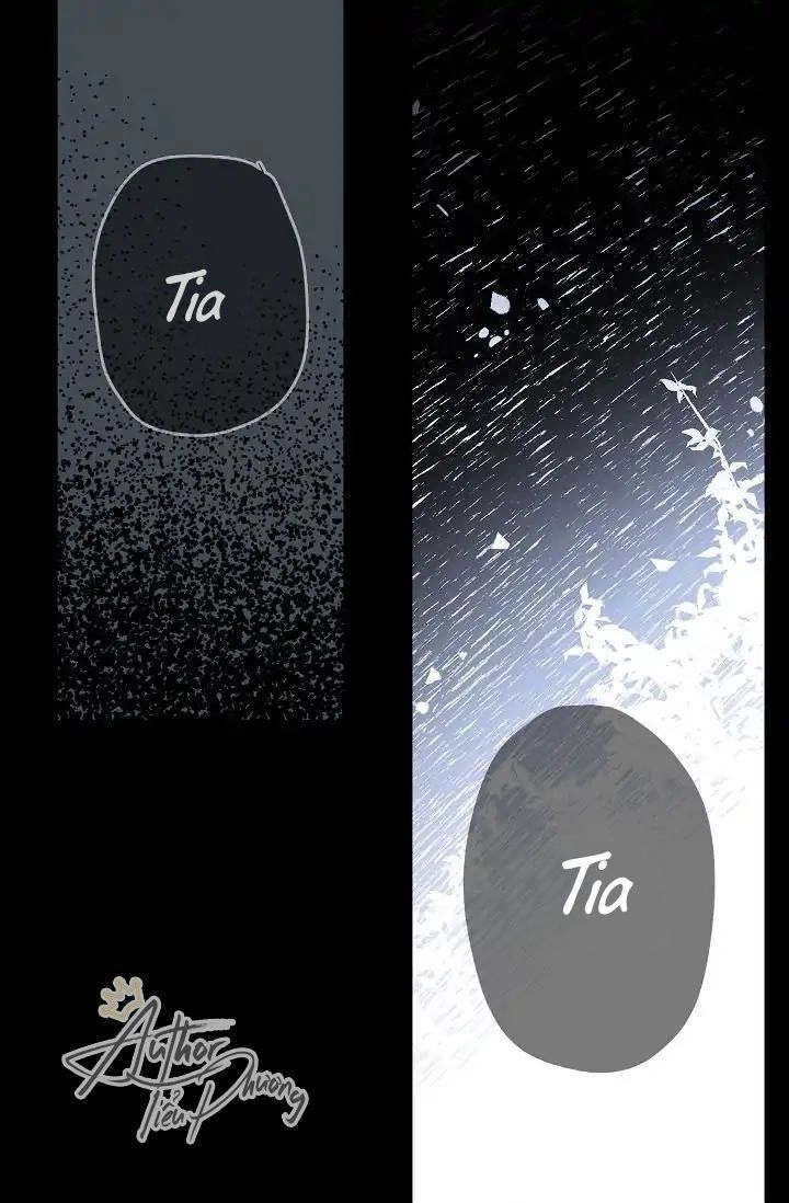 Tình Điên Dại Chapter 4 - 4