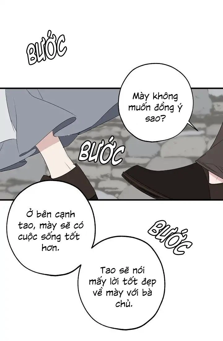 Tình Điên Dại Chapter 4 - 27