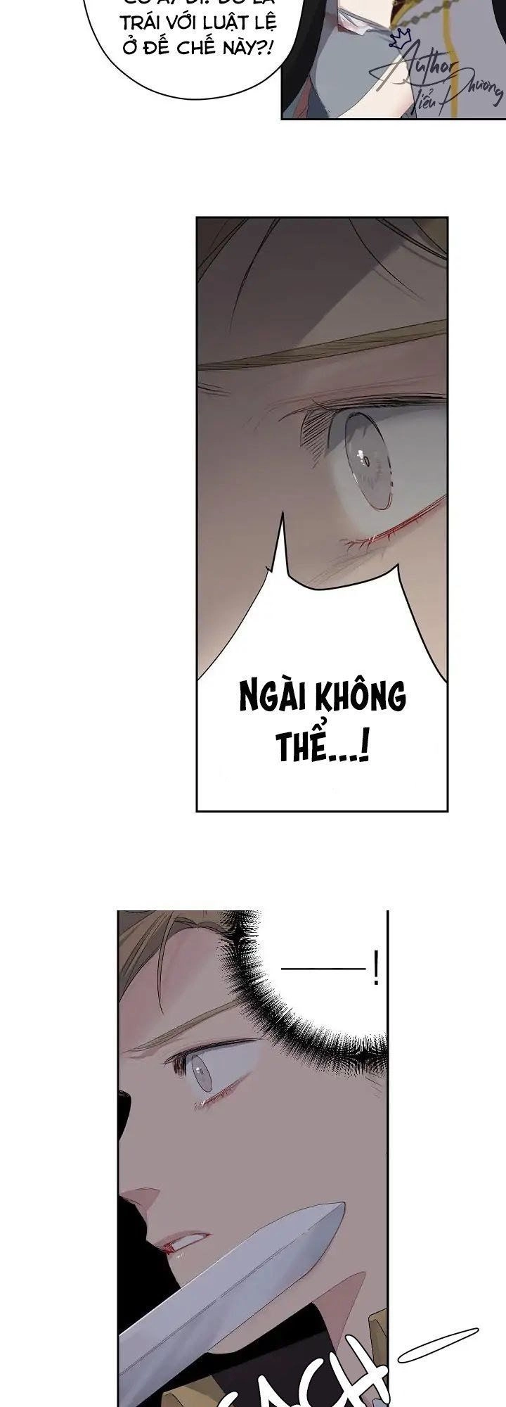 Tình Điên Dại Chapter 6 - 23