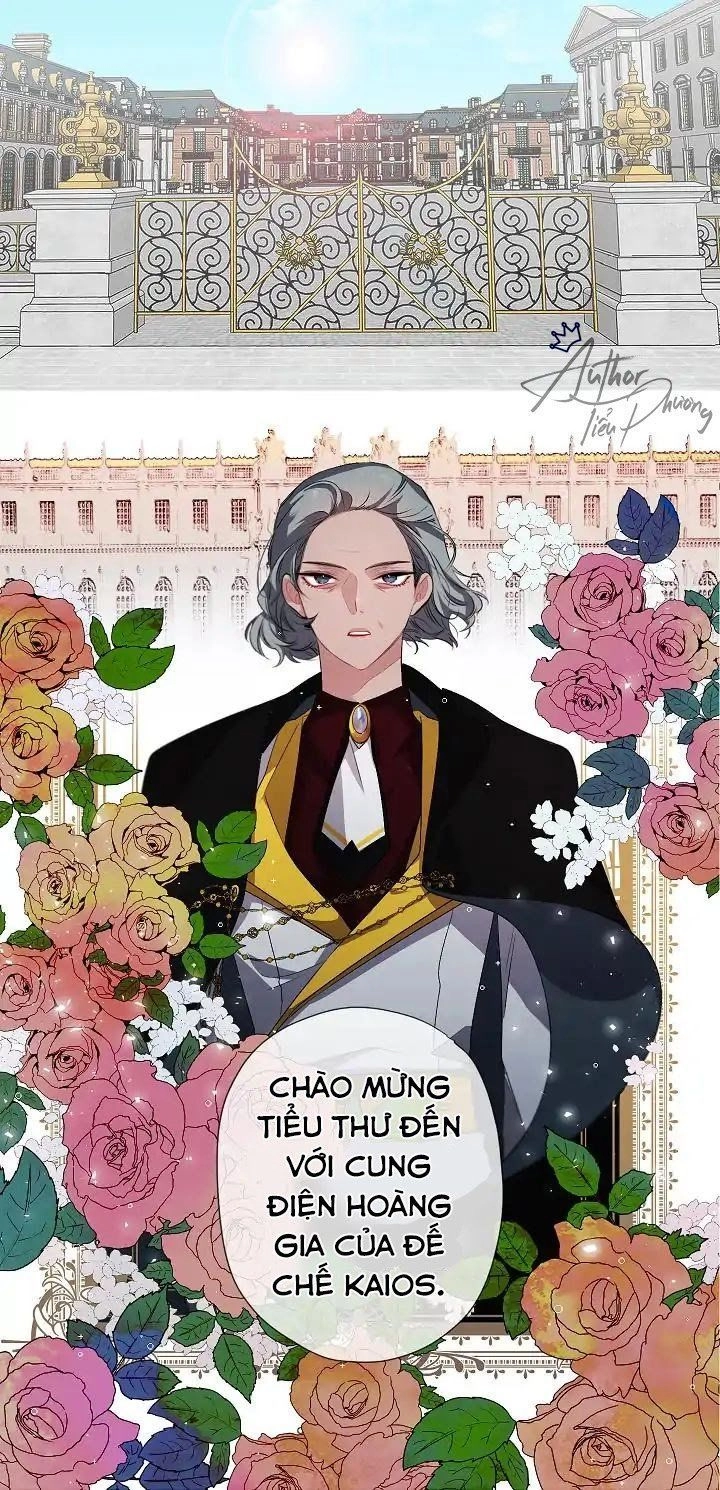 Tình Điên Dại Chapter 6 - 36