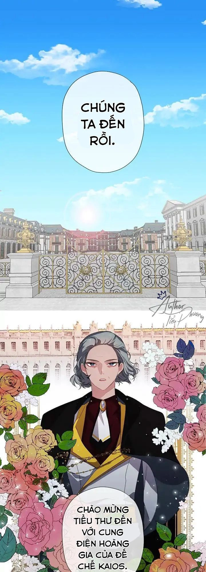 Tình Điên Dại Chapter 7 - 5