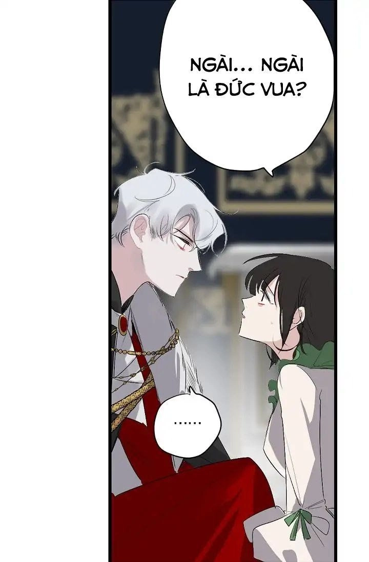 Tình Điên Dại Chapter 8 - 11