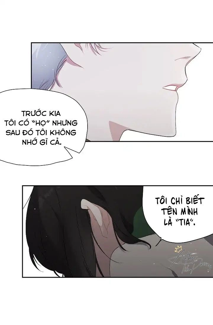 Tình Điên Dại Chapter 8 - 23