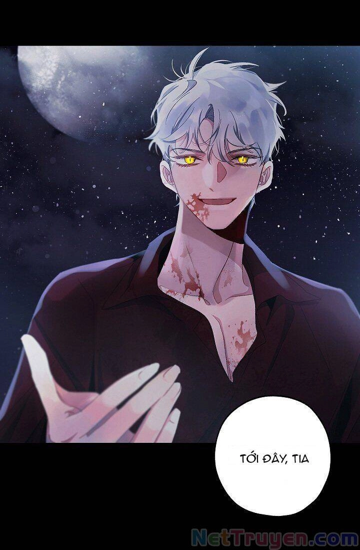 Tình Điên Dại Chapter 13 - 8