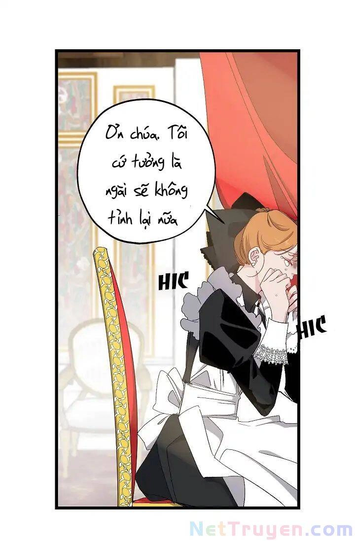 Tình Điên Dại Chapter 14 - 37