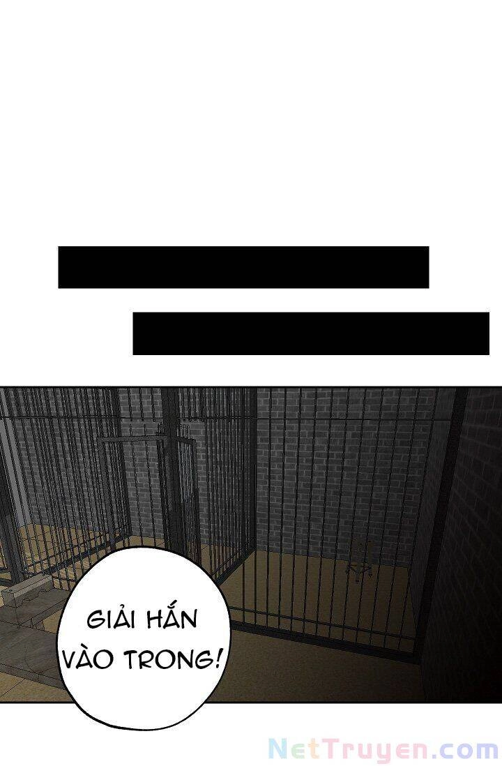 Tình Điên Dại Chapter 15 - 26