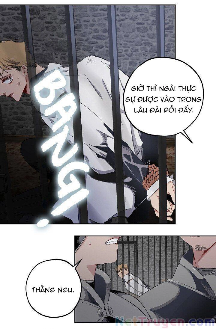 Tình Điên Dại Chapter 15 - 27