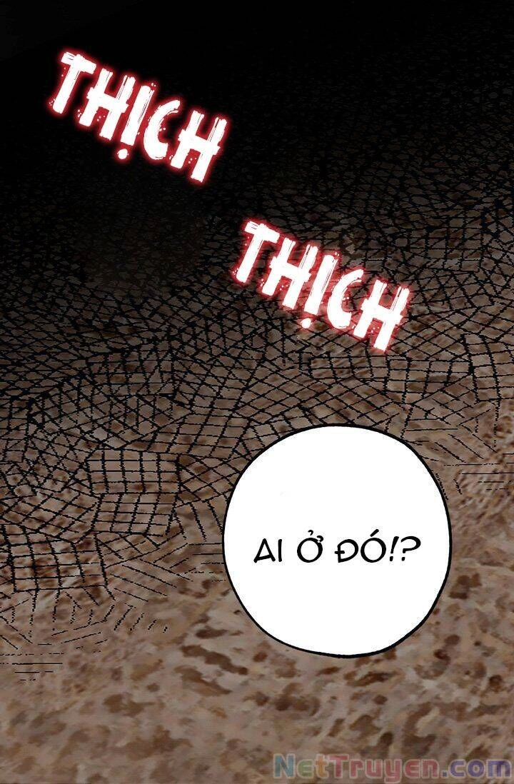 Tình Điên Dại Chapter 15 - 31