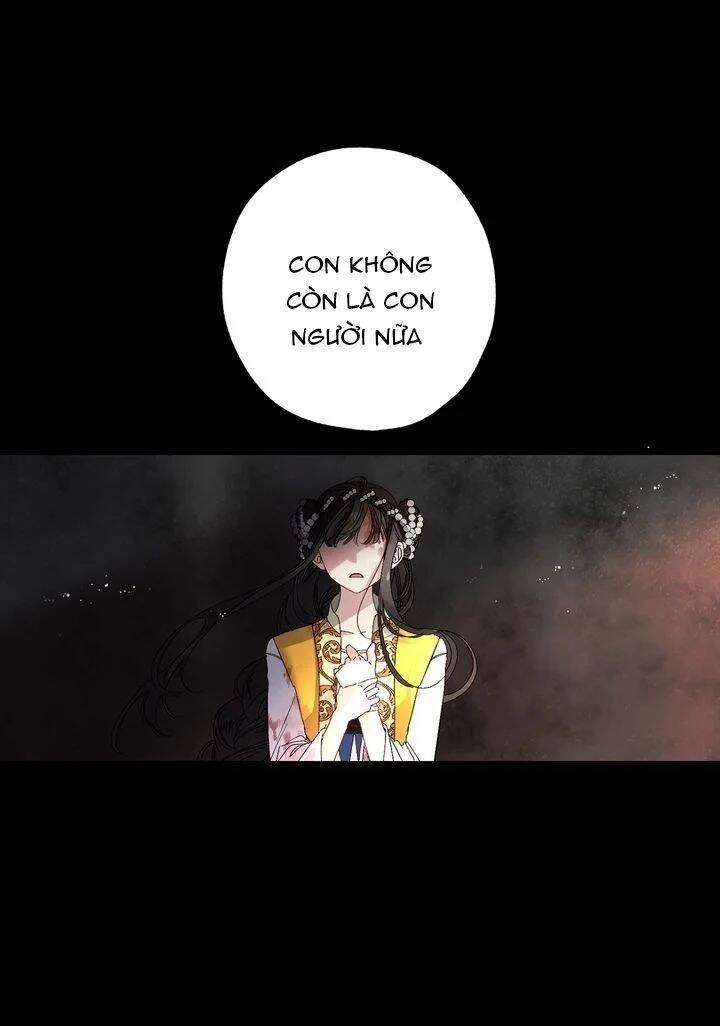 Tình Điên Dại Chapter 36 - 31