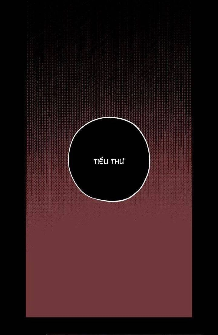 Tình Điên Dại Chapter 36 - 34