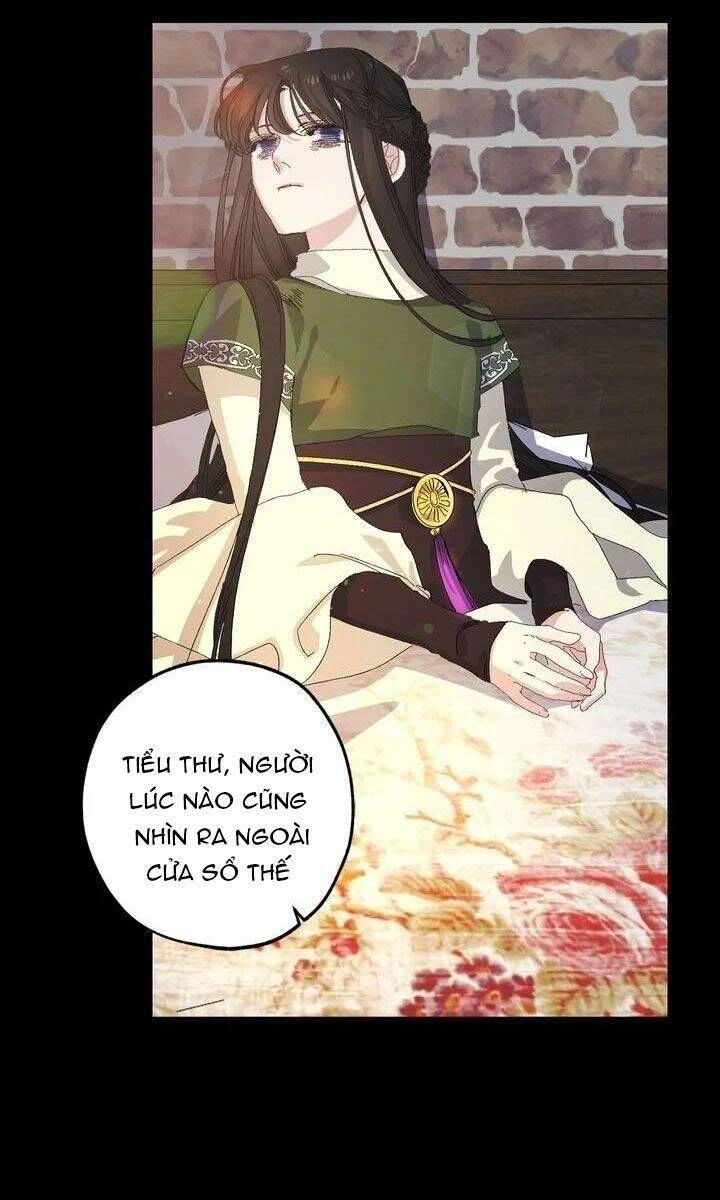 Tình Điên Dại Chapter 36 - 35