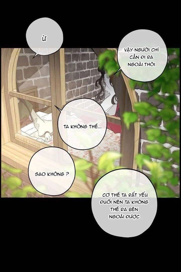 Tình Điên Dại Chapter 36 - 37