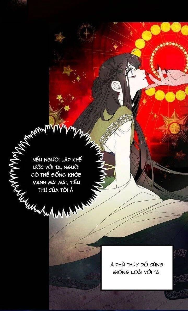 Tình Điên Dại Chapter 36 - 41