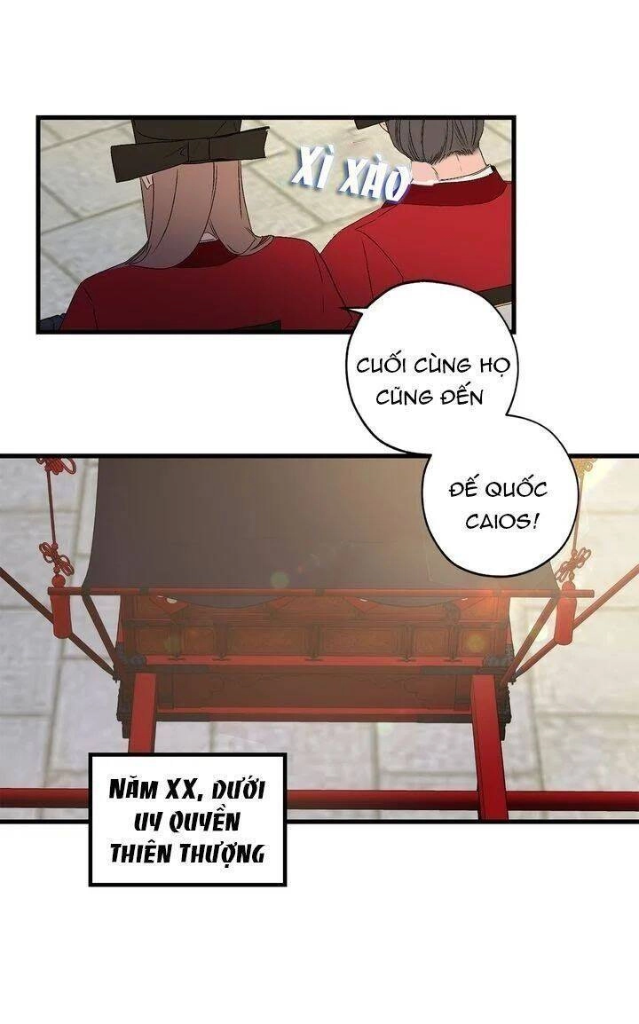 Tình Điên Dại Chapter 36 - 50