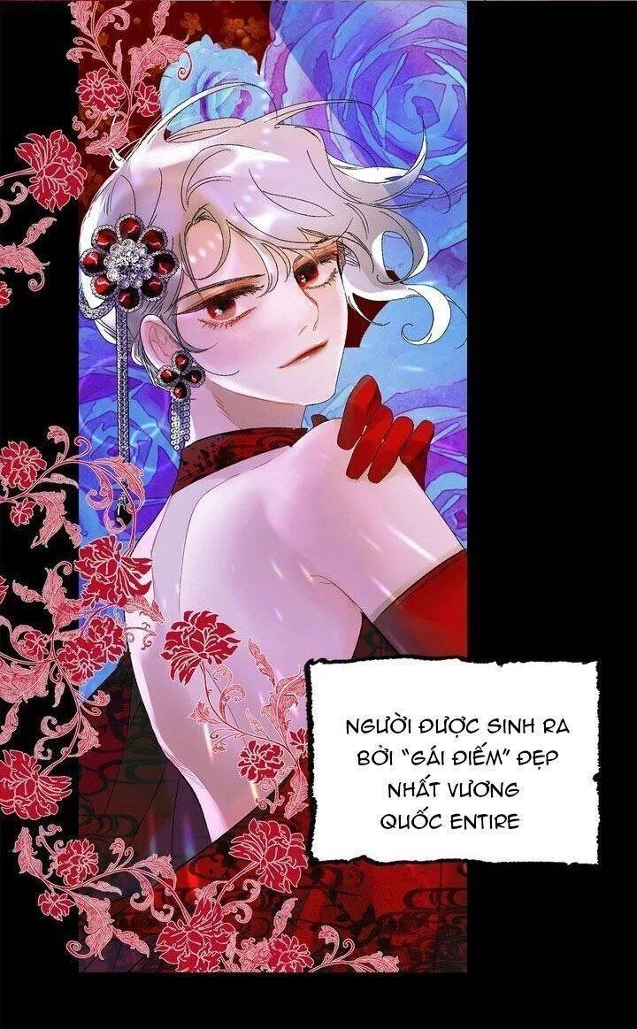 Tình Điên Dại Chapter 37 - 47