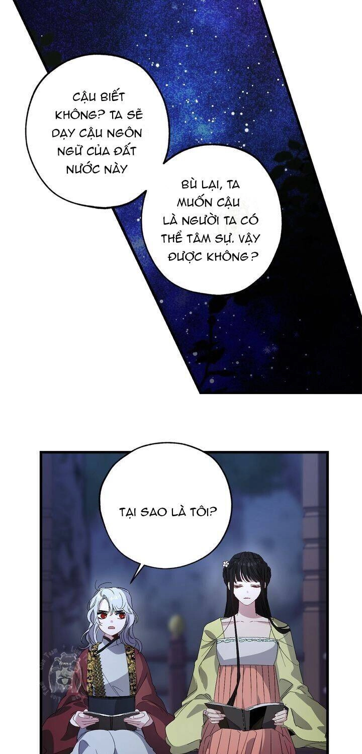 Tình Điên Dại Chapter 40 - 41