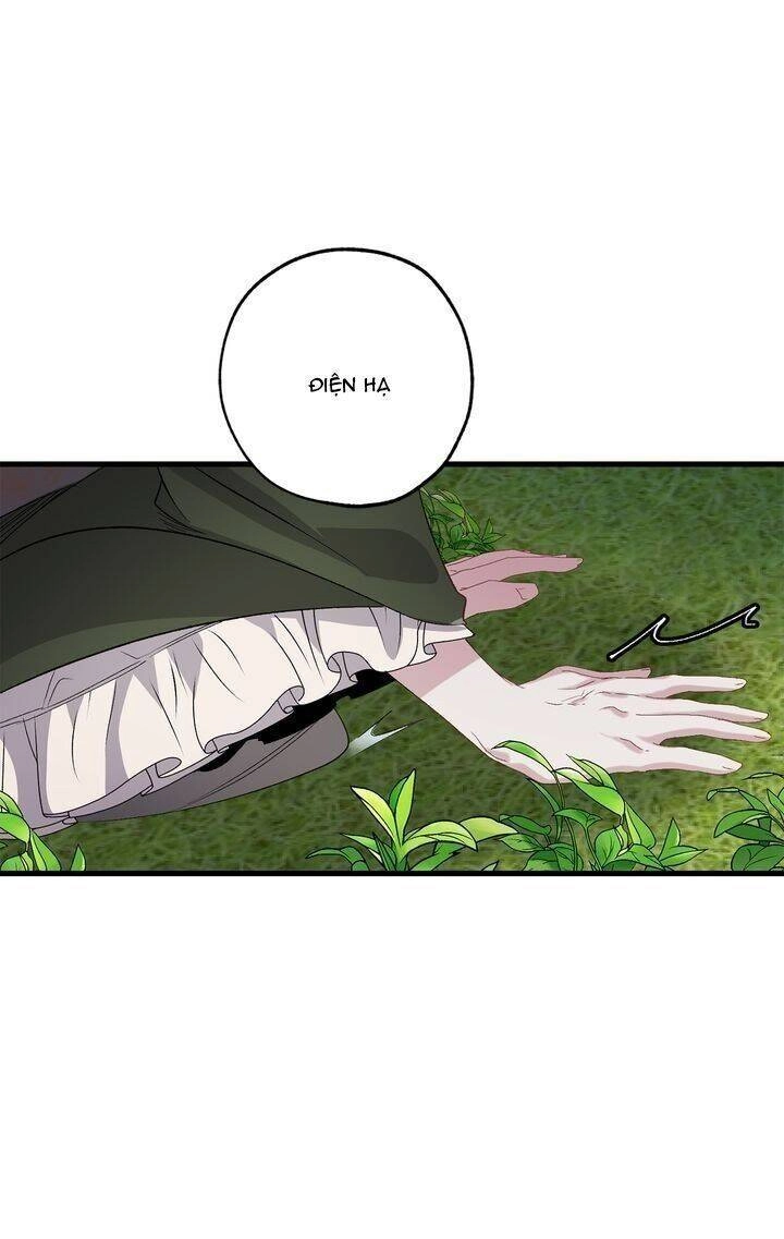 Tình Điên Dại Chapter 41 - 47