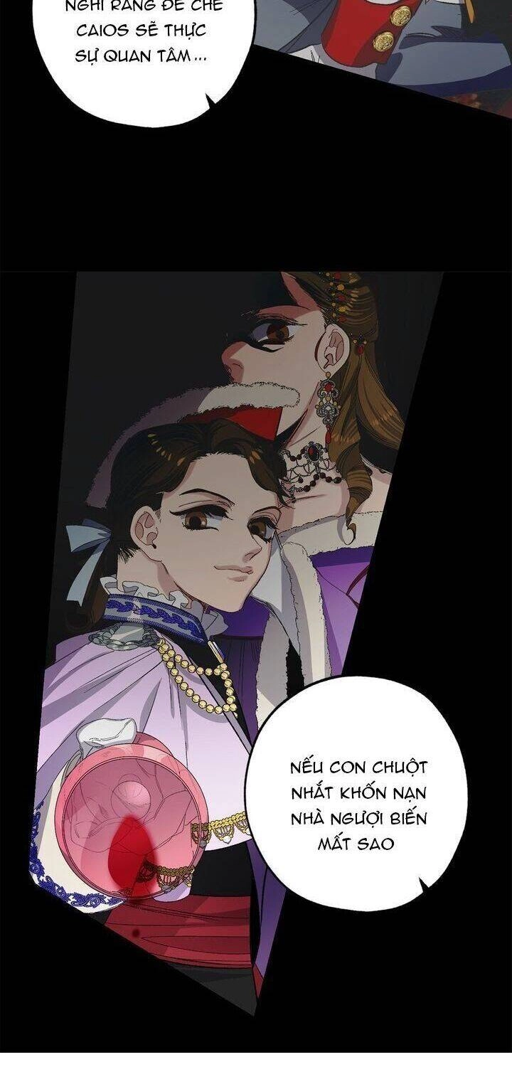 Tình Điên Dại Chapter 42 - 13