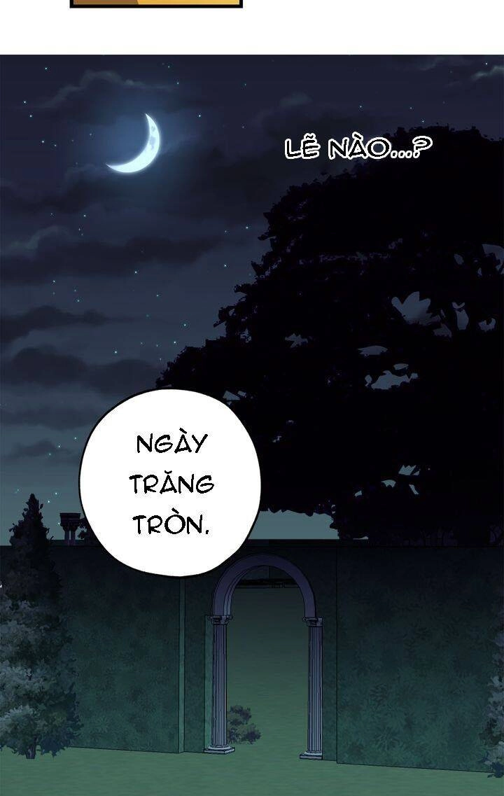 Tình Điên Dại Chapter 66 - 27