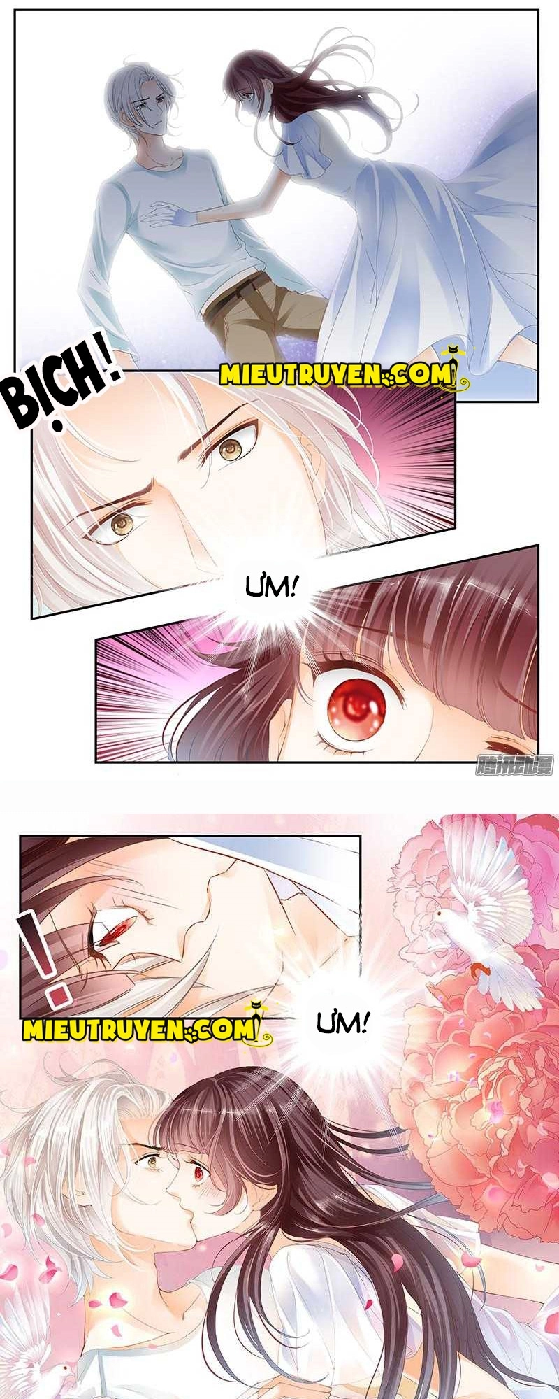 Thiểm Hôn Kiều Thê Chapter 5 - 5