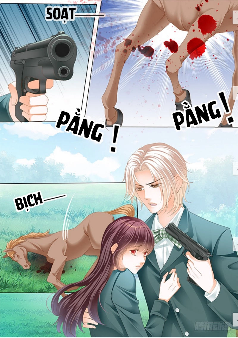 Thiểm Hôn Kiều Thê Chapter 172 - 10