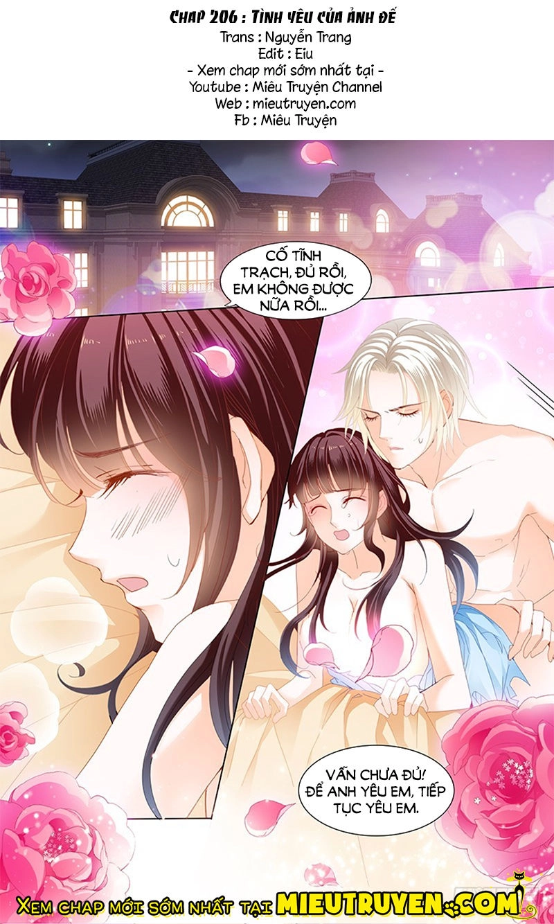 Thiểm Hôn Kiều Thê Chapter 206 - 2