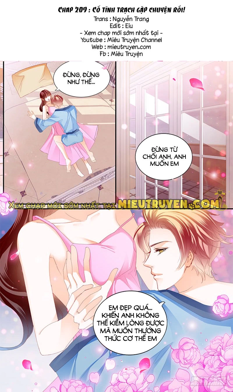 Thiểm Hôn Kiều Thê Chapter 209 - 2