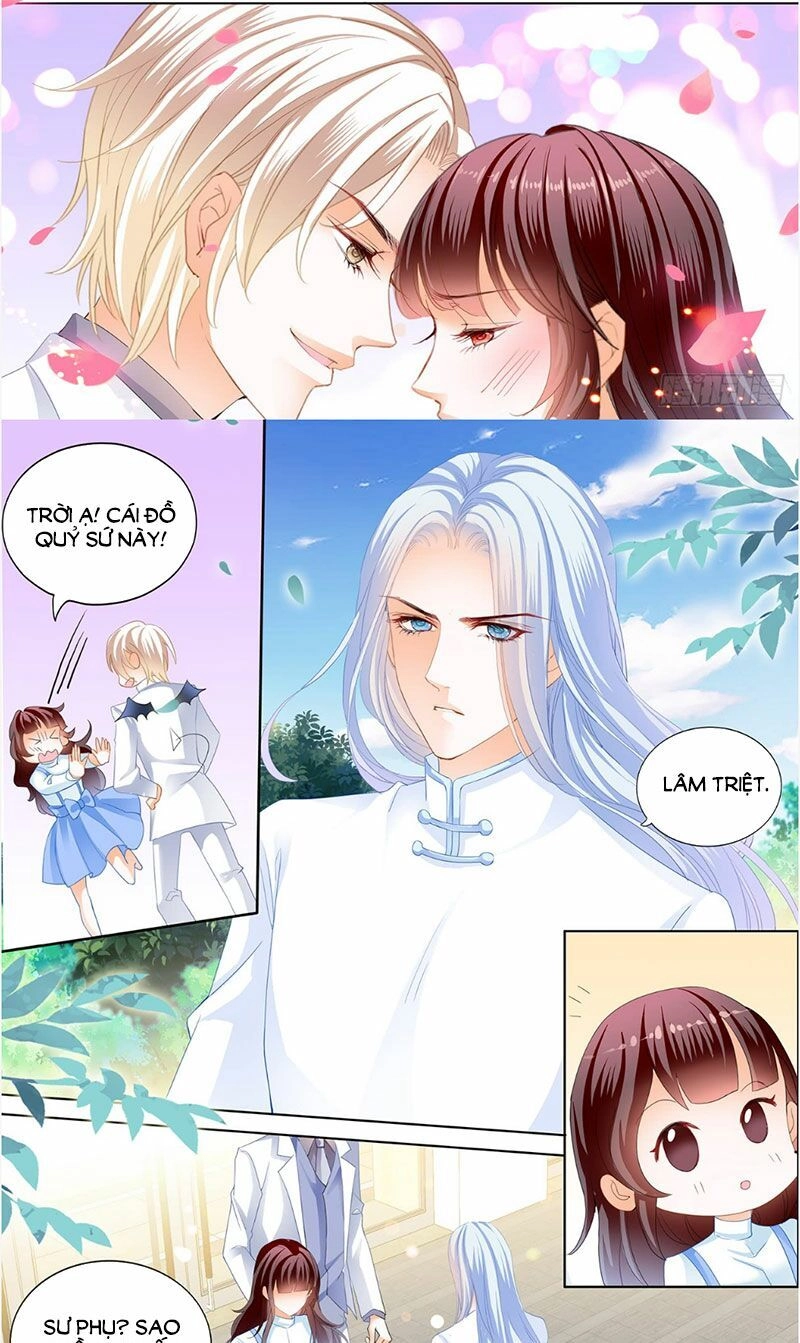 Thiểm Hôn Kiều Thê Chapter 239 - 7