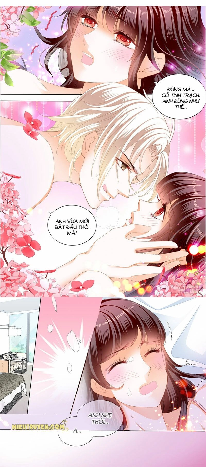 Thiểm Hôn Kiều Thê Chapter 241 - 10