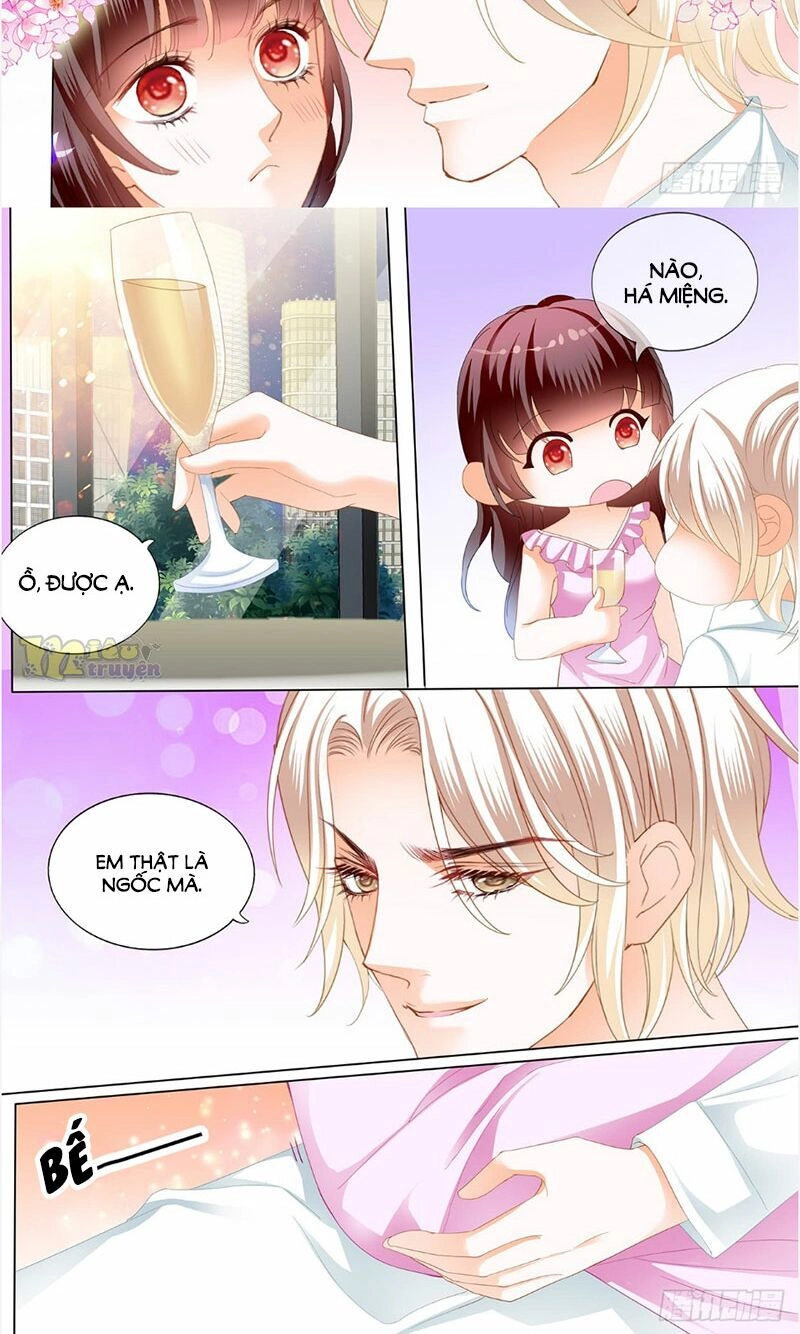 Thiểm Hôn Kiều Thê Chapter 242 - 5