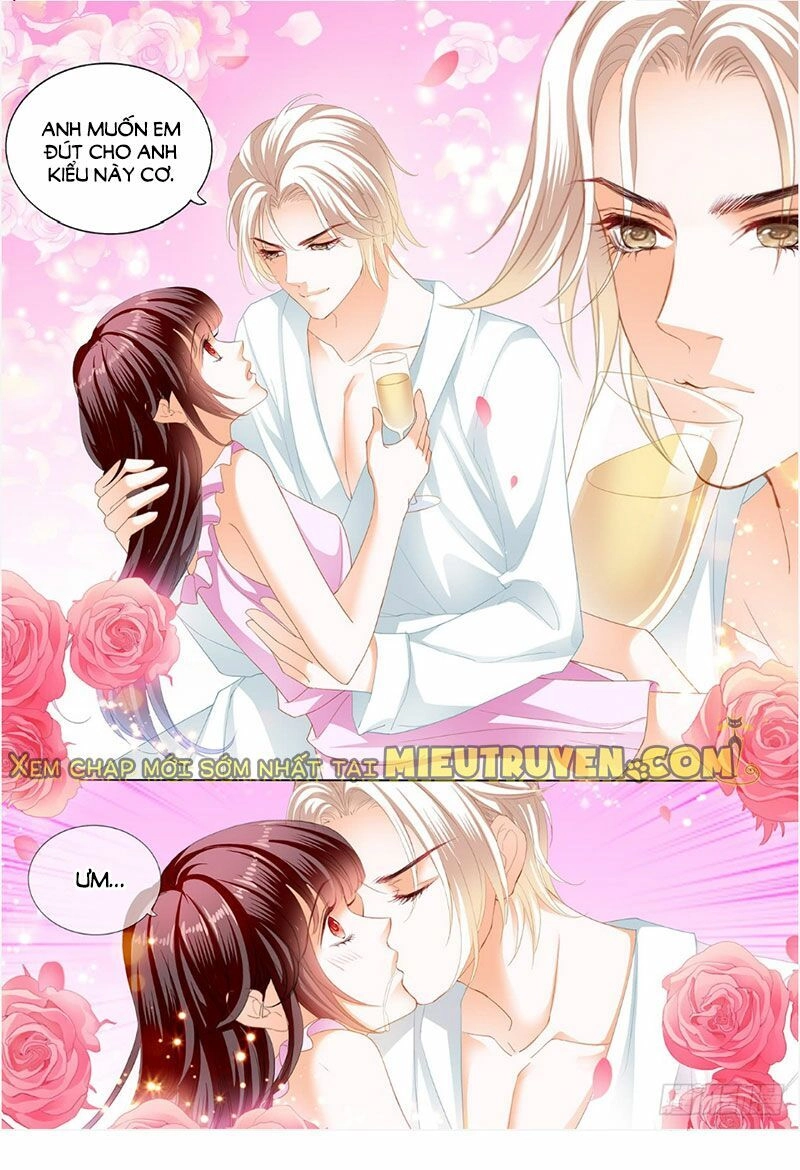 Thiểm Hôn Kiều Thê Chapter 242 - 6