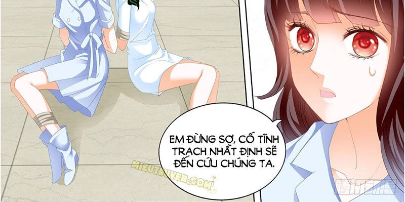 Thiểm Hôn Kiều Thê Chapter 246 - 3
