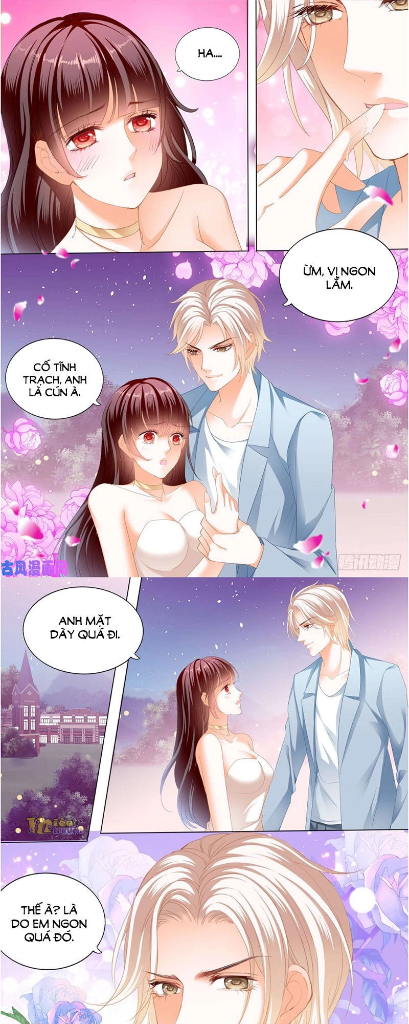 Thiểm Hôn Kiều Thê Chapter 258 - 13