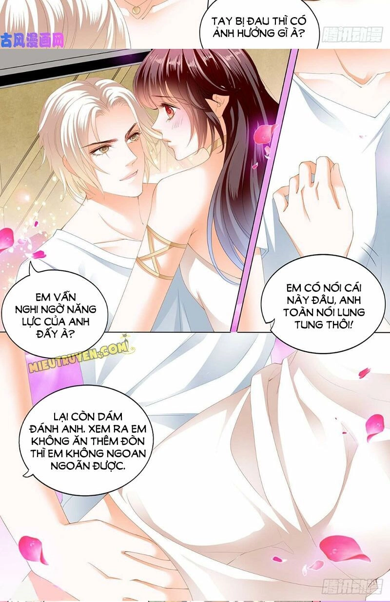 Thiểm Hôn Kiều Thê Chapter 260 - 3